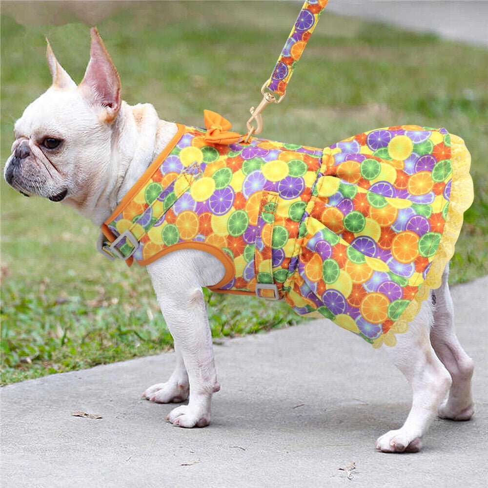 Didog Female Dog Harness Dress and Leash Fancy Small Pet Cat Summer Vest Clothes Yorkie