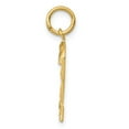 thumbnail image 2 of 14K Yellow Gold Charm Pendant Themed 2 Diamond-Cut 22 mm 9, 2 of 3