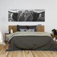thumbnail image 2 of Monochrome portrait highland cow - 20"x60" canvas - Print on demand, 2 of 5