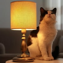 PTOOTP Drum Lampshades Beige Linen Cloth 1Pack for Table Lamp