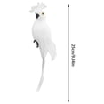 thumbnail image 2 of Visit the Apexora Store Feather Parrot Decoration Indoor Outdoor Clip High Quality, 2 of 7