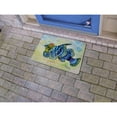 thumbnail image 2 of Betsy Drake DM1144 18 x 26 in. Google Eye Door Mat, 2 of 2