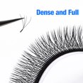 thumbnail image 2 of ANJOSIRMA Pestañas W Extensión De 4D novel volume blend Maquillaje, 2 of 3