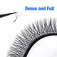 thumbnail image 2 of ANJOSIRMA Pestañas W Extensión De 4D novel volume blend Maquillaje, 2 of 3