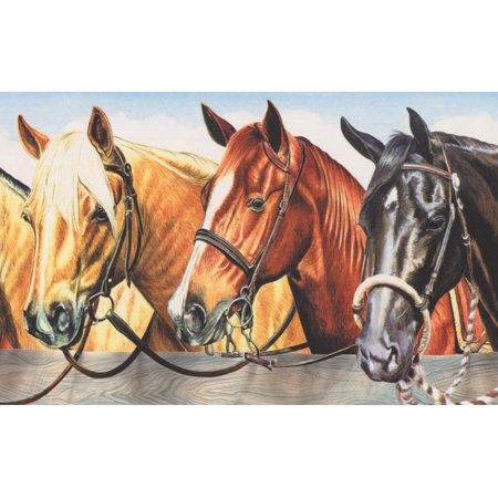 Beautiful Horses in Stable Vintage Wallpaper Border Retro Design, Roll