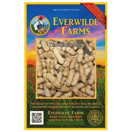Everwilde Farms - 30 Tennessee Red Peanut Seeds (Treated) - Gold Vault Jumbo Bulk Seed