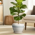 thumbnail image 7 of Ordivic 8 inch Cream White Ceramic Decorative Planter with Drainage Hole & Saucer, Modern Indoor Pot for Herbs & Living Room,Office Desk Decor, 7 of 7
