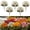 White, variant on Artificial Daisy Flower Stems, 5 Pack, 12.6 x 5.91 in, Decorative Accent for Living Room, Bedroom, Shelf and Tabletop Display
