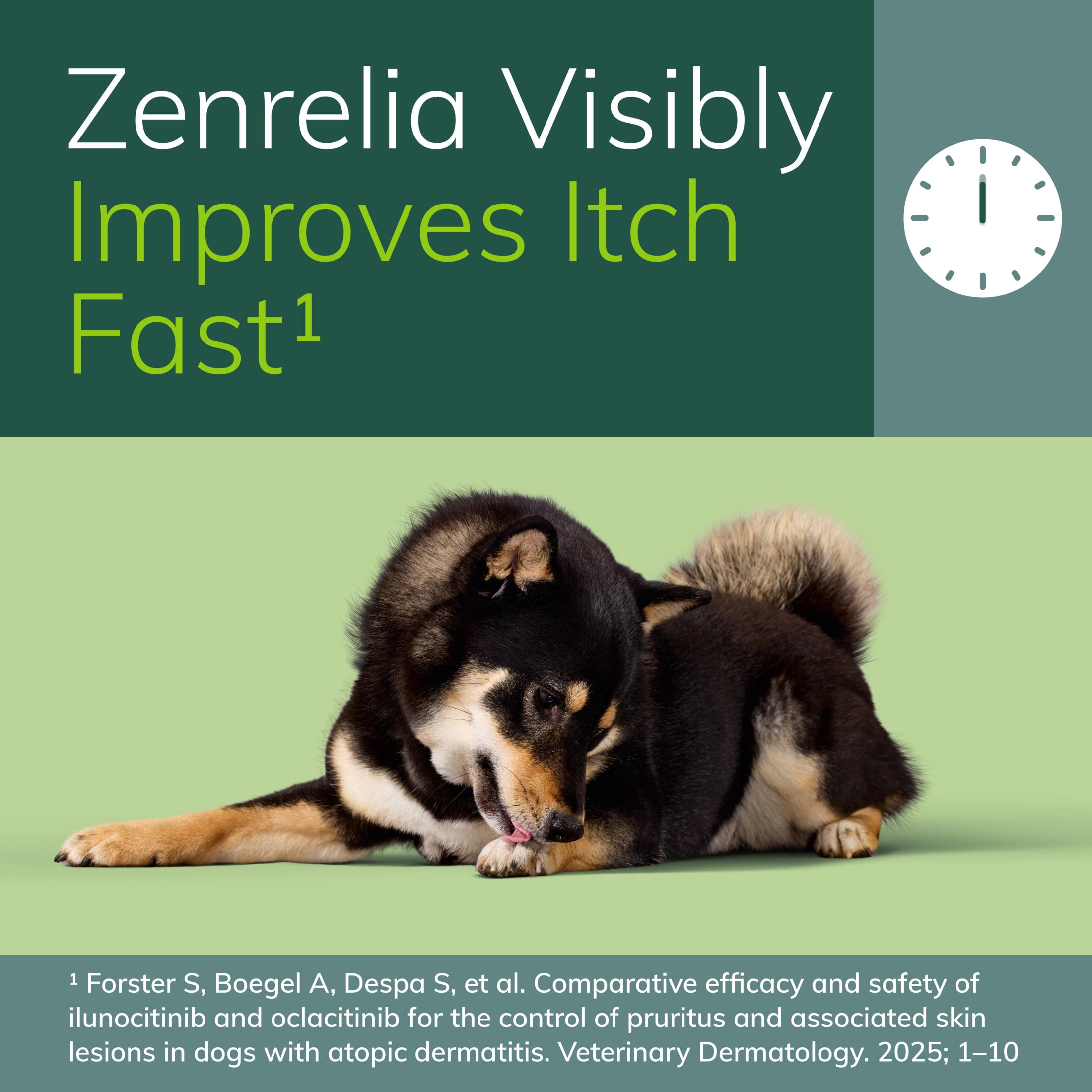 Zenrelia (Ilunocitinib Tablet) Once Daily Prescription Itch Relief for Dogs 8.5 mg