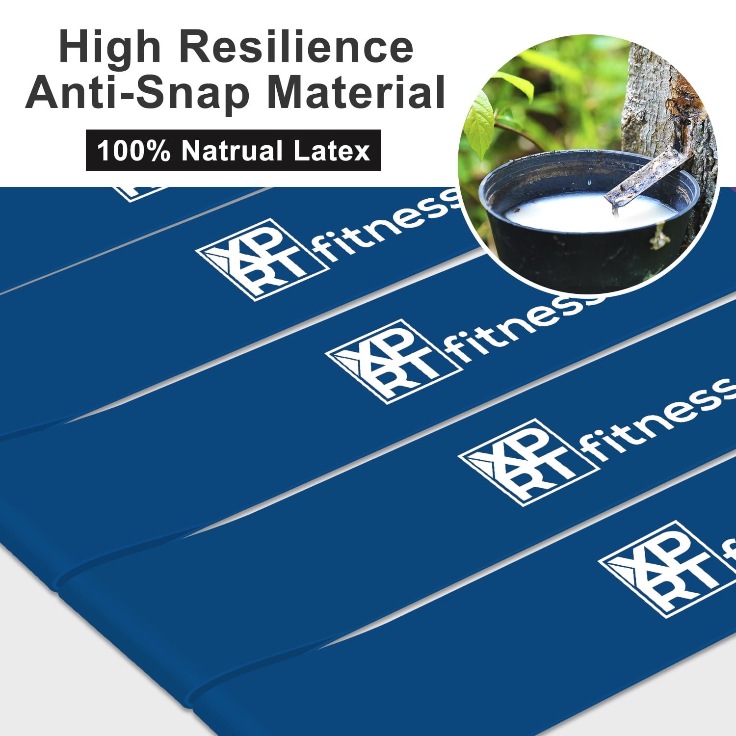 XPRT Fitness Resistance Loop Bands Elastic Exercise Bands Set of 10 - Resistance Level Heavy