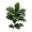 2, variant on 15-Leaf Single-Pole Dragonfly Tree Rubber Tree Qin Leaf Banyan Tree Printing Tape Simulation Green Plant Potted Decoration Ornaments