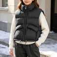 thumbnail image 3 of StSilkitty Puffer Vest for Boys Girls Zip up Sleeveless Stand Collar Jacket Coat Fall Winter Warm Outerwear with Pockets, 3 of 9
