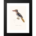 thumbnail image 2 of Coenraad Jacob Temminck 14x18 Black Modern Framed Museum Art Print Titled - Martin-Chasseur Oreillon-Bleu (1838), 2 of 5