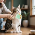 thumbnail image 5 of SIfdSeng Pet Spray Comb Massage Comb Cat Comb Dog Comb Cat Cleaning Pet Brush Pet Spray Combing, 5 of 5