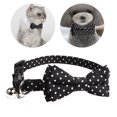 thumbnail image 1 of ADDHAT Collar Para Perro Y Con Moño De Tela Negro Y Ideal Para, 1 of 8