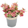 thumbnail image 4 of Planta En Maceta Artificial, Exquisita, Elegante, Hermosa, Maceta De Margaritas Simulada, Respetuosa Con El Medio Ambiente Para Balcones Para Decoraciones De Bodas, 4 of 8