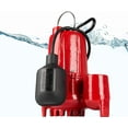 thumbnail image 2 of Red Lion 1/3 Hp Cast Iron Sump Pump With Tethered Switch, 2 of 9