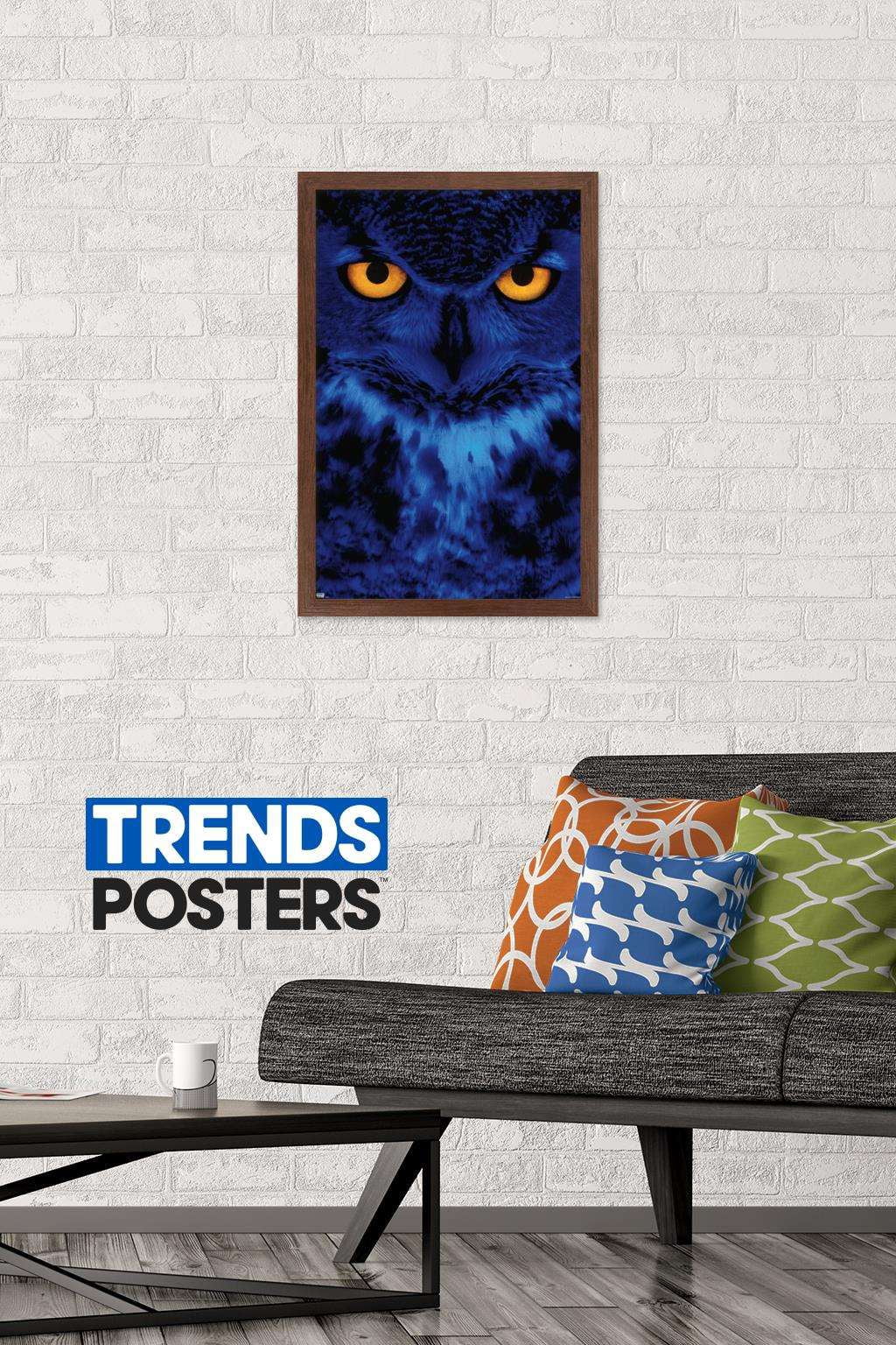 Owl - Eyes Wall Poster, 14.725" x 22.375", Framed