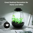 thumbnail image 2 of Desktop Glass Plant Terrarium with Grow Light, Planter for Succulent Moss Miniature Gardening Landscape, Betta Fish Tank, Indoor Plant Growth, Office Home Decoration, Plant Lovers Gifts, 2 of 5