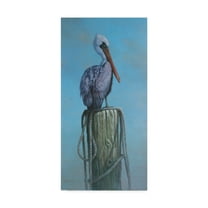 Trademark Fine Art 'Pelican Perch' Canvas Art by Michael Jackson