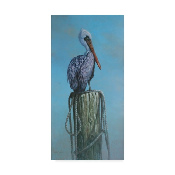 Trademark Fine Art 'Pelican Perch' Canvas Art by Michael Jackson