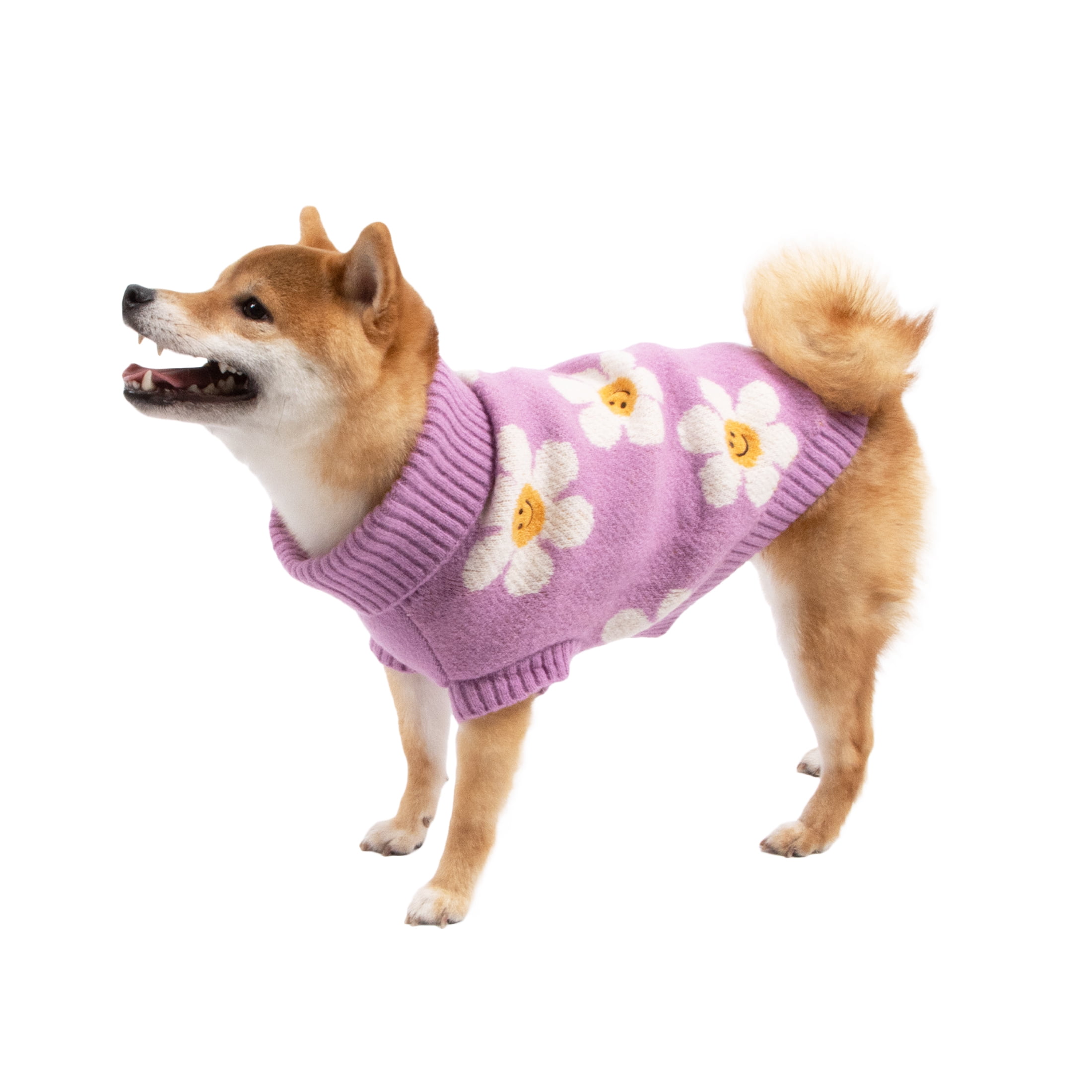 Oodles Purple Daisy Dreams Turtle Neck Fall Dog Sweater, Medium