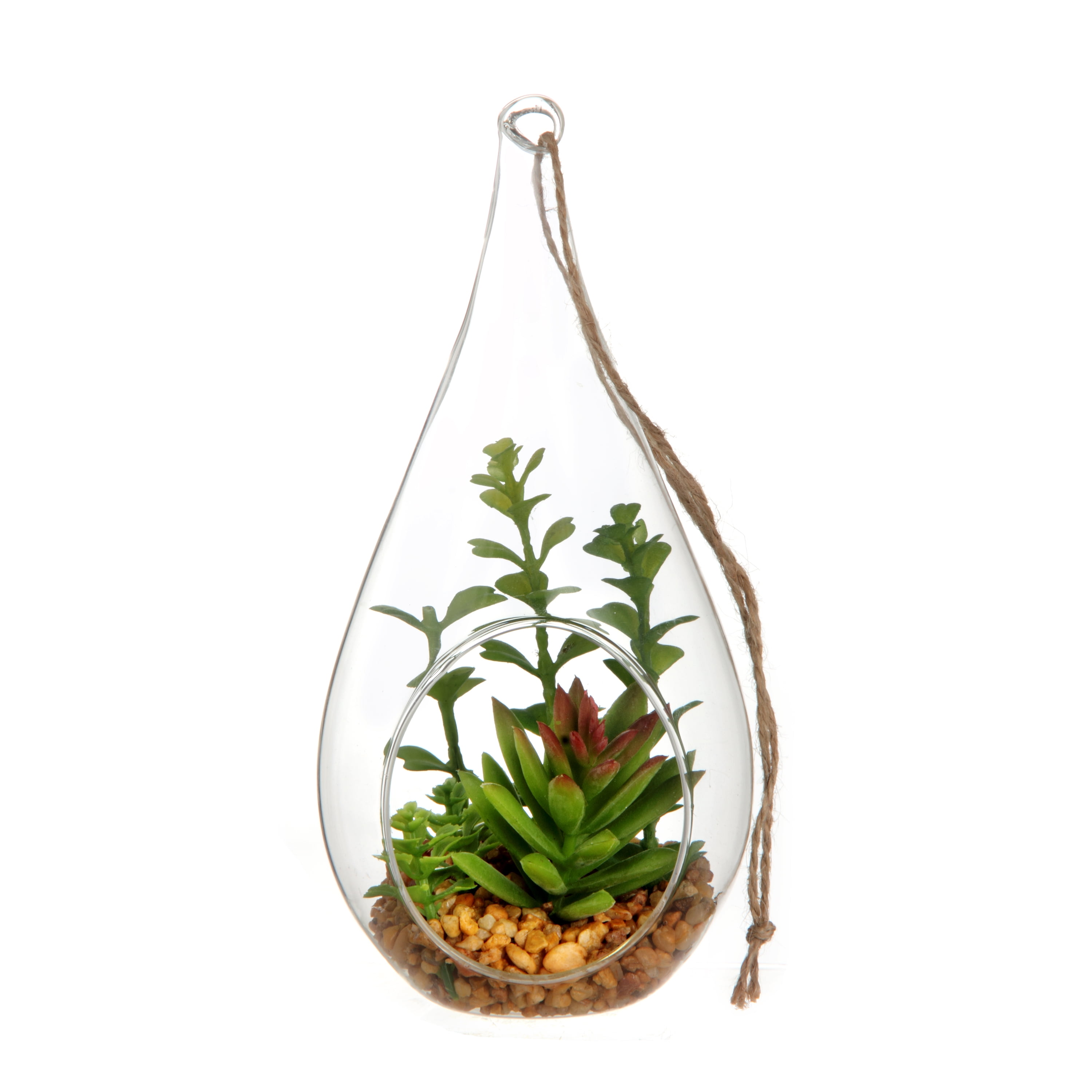 Mainstays Tabletop Tear Terrarium