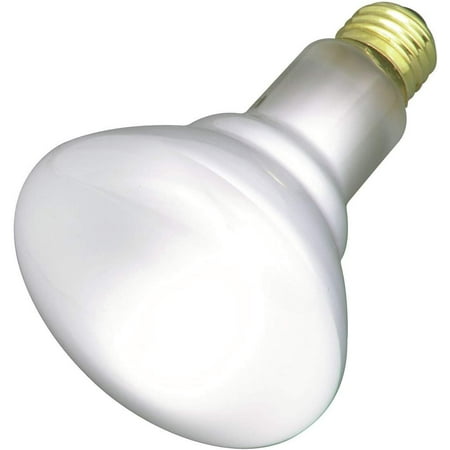 

Satco Products S3408 130-Volt 65BR30 Frosted Flood Light Bulb