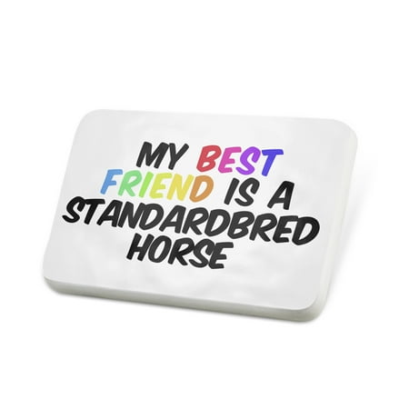 Porcelein Pin My best Friend a Standardbred Horse Lapel Badge – (Best Standardbred Race Horses)