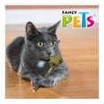 thumbnail image 4 of Paleta para Gato Fancy Pets Catnip Estrella, 4 of 4