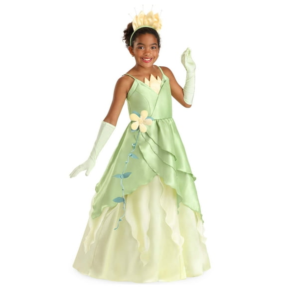 Girl's Disney Princess and the Frog Tiana Costume