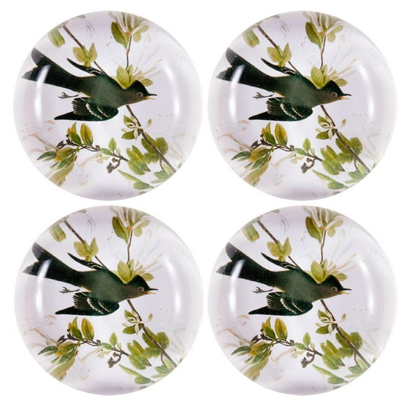 Western Wood Pewee Set Of Four Crystal Magnets