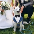 thumbnail image 7 of IDOMIK Dog Tuxedo Suit with Bow Tie, Formal Wear for Large Dogs, Blue, 2XL, 7 of 7