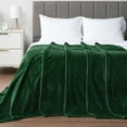 thumbnail image 3 of PAVILIA Soft Fleece Forest Green Throw Blanket for Couch, Lightweight Plush Warm Blankets for Bed, Fuzzy Cozy Flannel Blanket Throw for Sofa, Travel, Jacquard Pattern, Emerald Green, Twin, 60x80 inch, 3 of 8