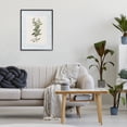 thumbnail image 3 of Stupell Industries Transitional Fresh Herb on Geometric Black Framed Giclee Art, 16 x 20, by Diannart, 3 of 8