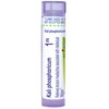 Boiron Kali Phosphoricum 1M, Homeopathic Medicine for Tension Headaches Associated With Intellectual Fatigue, 80 Pellets