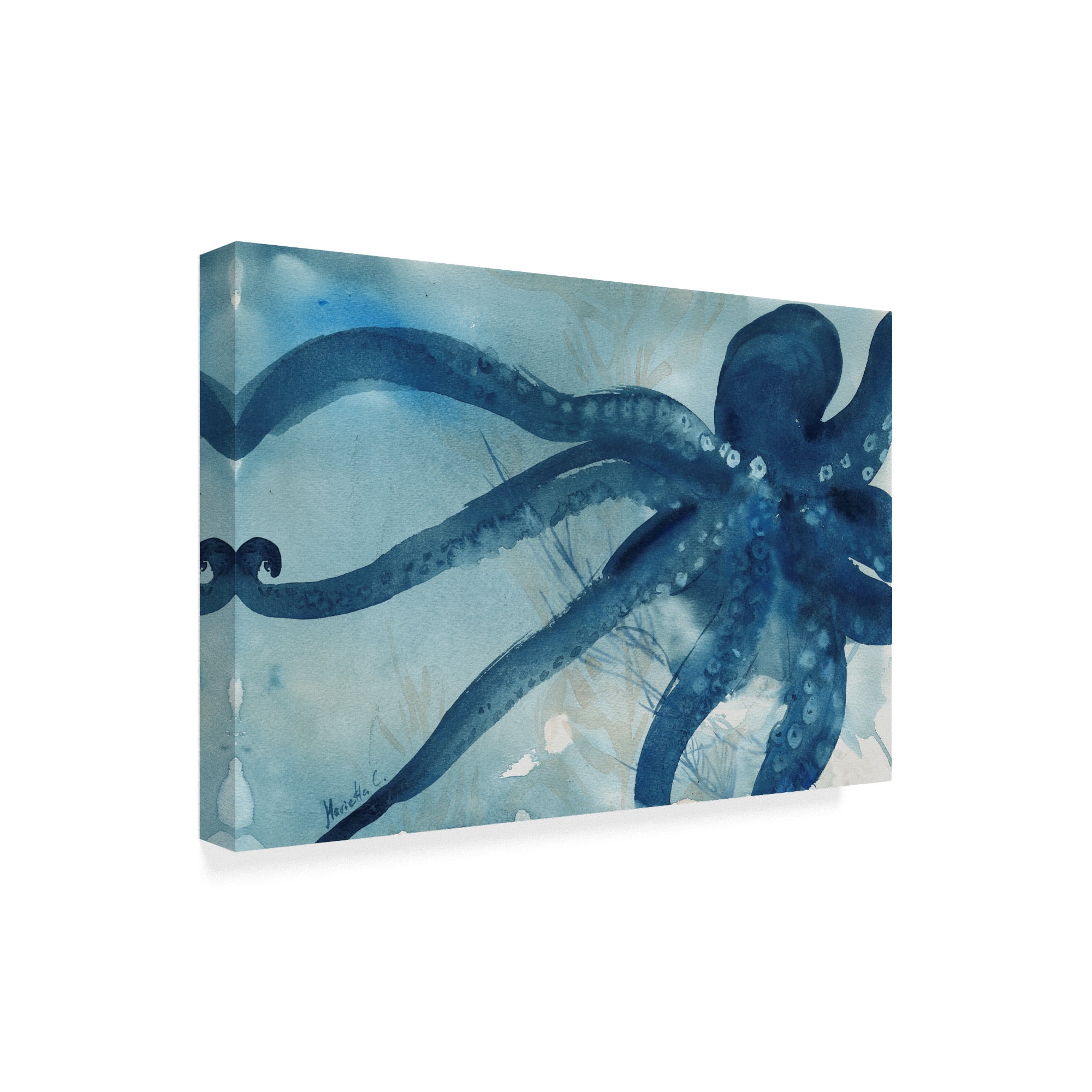 Trademark Fine Art 'Octopus Water Color 1' Canvas Art by Marietta Cohen Art And Design