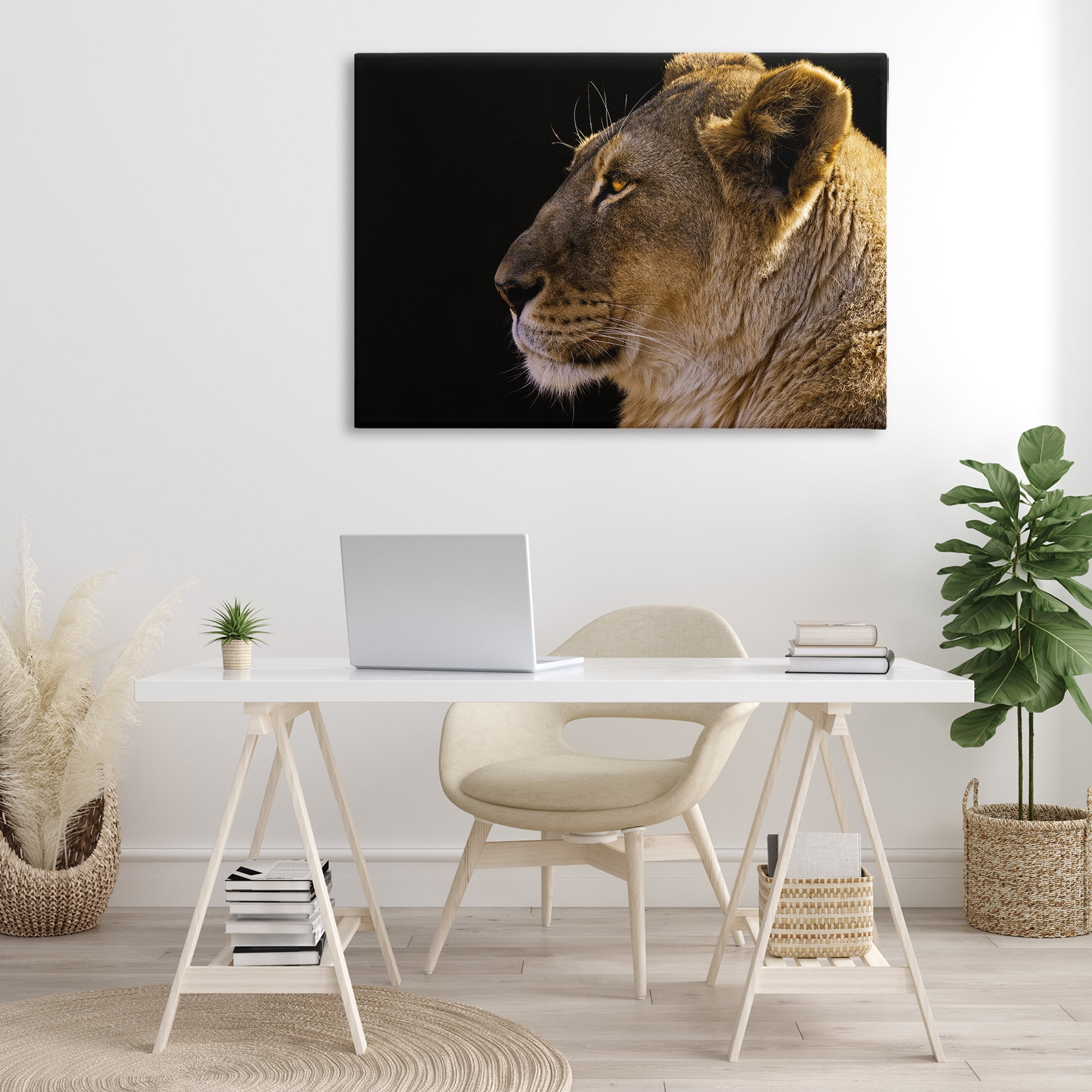 Stupell Industries Fierce Lion Looking Left Animals Photography Wrapped Canvas Art Print Wall Art, 45 x 30