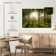thumbnail image 5 of Elephant Stock Birch Forest Sunlight Wall Art - Horizontal Canvas Wall Art - Living Room Wall Decor - Nature Canvas - Beige And Gray Decor - 36" x 24", 5 of 8