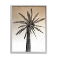 thumbnail image 5 of Stupell Industries Palm Tree Tropics Beige Geometric Pattern Sky Black Framed, 11 x 14, Design by Daphne Polselli, 5 of 5