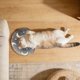 thumbnail image 5 of Almohadilla relajante para el cuello en forma de U para gatos, perros pequeños y medianos; funda ergonómica desmontable; cómoda alfombrilla de descanso para mascotas, 5 of 5
