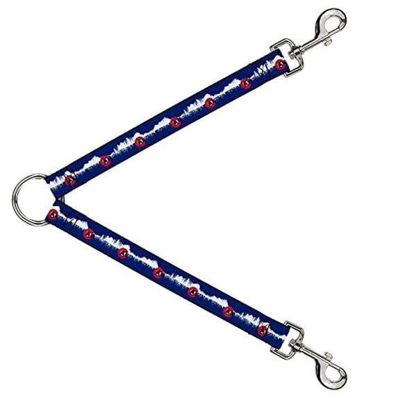 Buckle-Down Leash Splitter - Colorado Snowboarder Snowy Mountains Weathered - 1" Wide - 30" Length