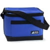 Arctic Zone Classic 6-Can Cooler
