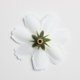 thumbnail image 4 of 50 piezas de seda Daisy flores cabezas boda fiesta Navidad decoración del hogar adornos beige Sunnimix Cabeza de flor, 4 of 8