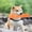 ZA Orange2, variant on Giant Carrot Dog Toy, Dog Calming Carrot, Sturdy Plush Multi-squeaks Toys, Cute Stuffing Chew Boredom Toys for Indoor Small Medium Large Dogs