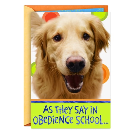 Hallmark Funny Get Well Card (As They Say in Obedience School)