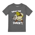 thumbnail image 1 of Shrek - Camiseta Best Buds Niños (Carbón), 1 of 2