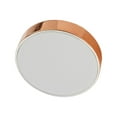 thumbnail image 4 of Exfoliation Hair Removal Tool Quick Washable Accessory Fast Reusable Hair Eraser Style D, 4 of 9