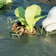 thumbnail image 3 of SUTENGDA 30pcs Landscape Staples Ground Staples Landscaping Staples for Anchoring Fabric, 3 of 6