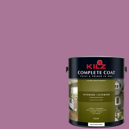 Fusion, KILZ COMPLETE COAT Interior/Exterior Paint & Primer in One, (Best Color To Paint House Interior For Sale)